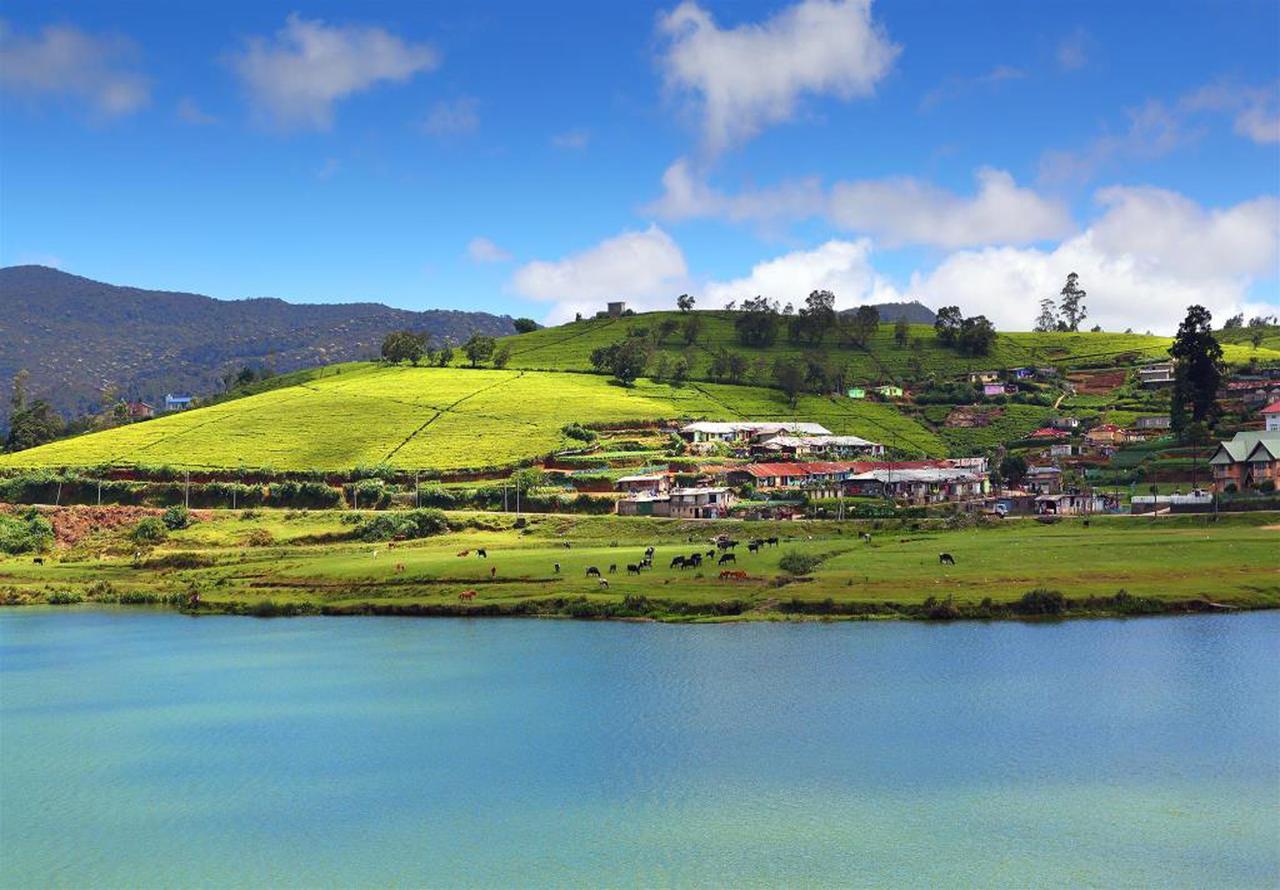 Hill View Bungalow Panzió Nuwara Eliya Kültér fotó